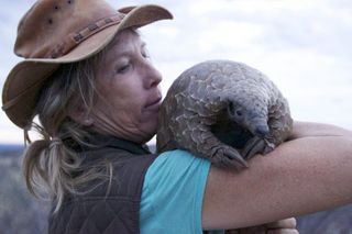 Pangolins: The World's Most Wanted Animal