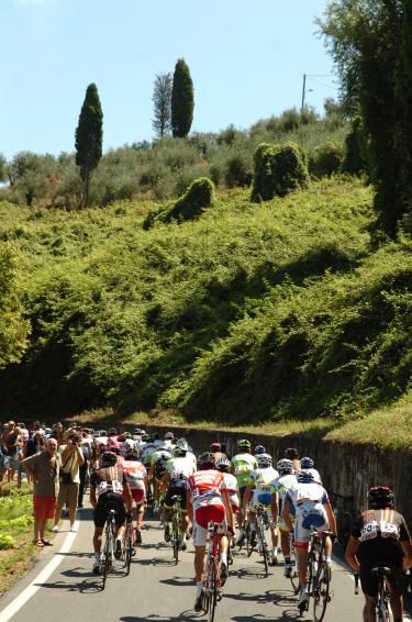 The bunch on the way up Monte Pitoro