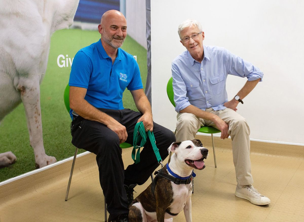 TV tonight Paul O&#039;Grady For the Love of Dogs: What Happened Next