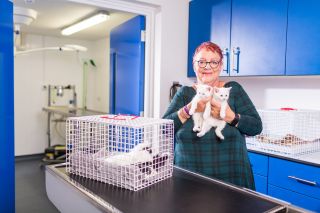 Kitten Rescue with Jo Brand