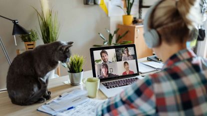 picture of a woman working from home with her cat