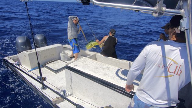 TV tonight Deadliest Catch: Bloodline