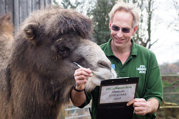 TV tonight London Zoo: An Extraordinary Year