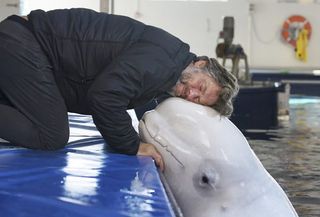 TV tonight John Bishop's Great Whale Rescue