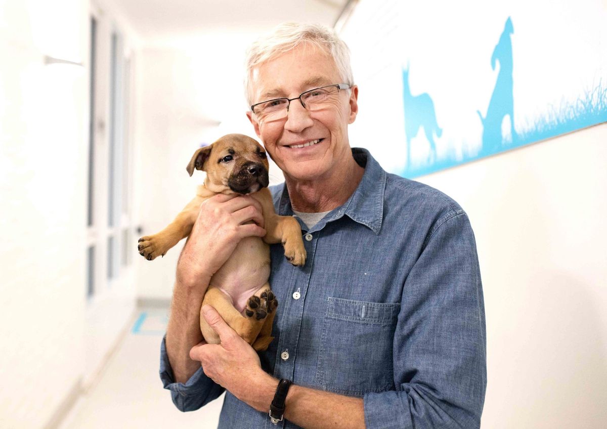 TV tonight Paul O&#039;Grady For the Love of Dogs: What Happened Next