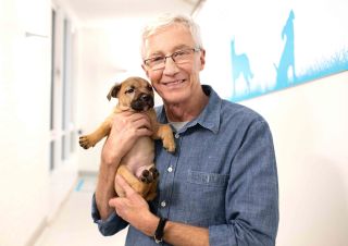 TV tonight Paul O'Grady For the Love of Dogs: What Happened Next