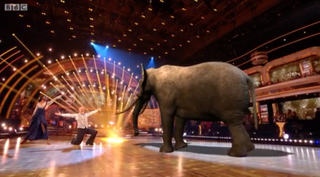 Oti and Bill with an elephant on Strictly