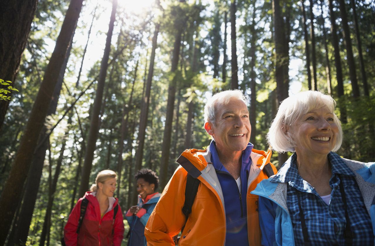 Senior couple hiking in sunny woods