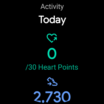 Wear Os Google Fit Screenshot