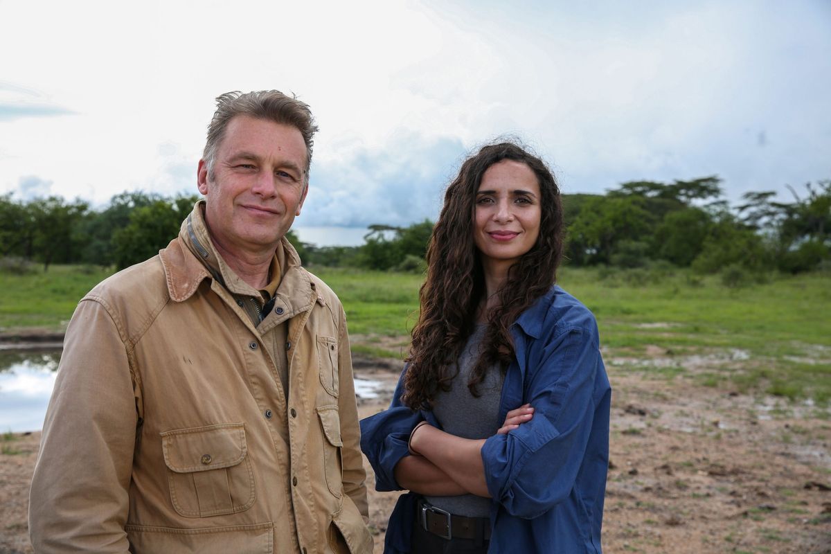 TV tonight Waterhole: Africa&#039;s Animal Oasis