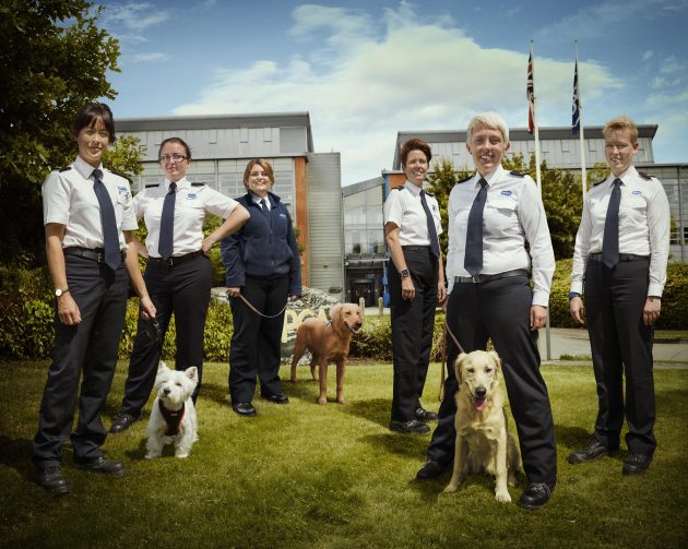 A team of RSPCA inspectors