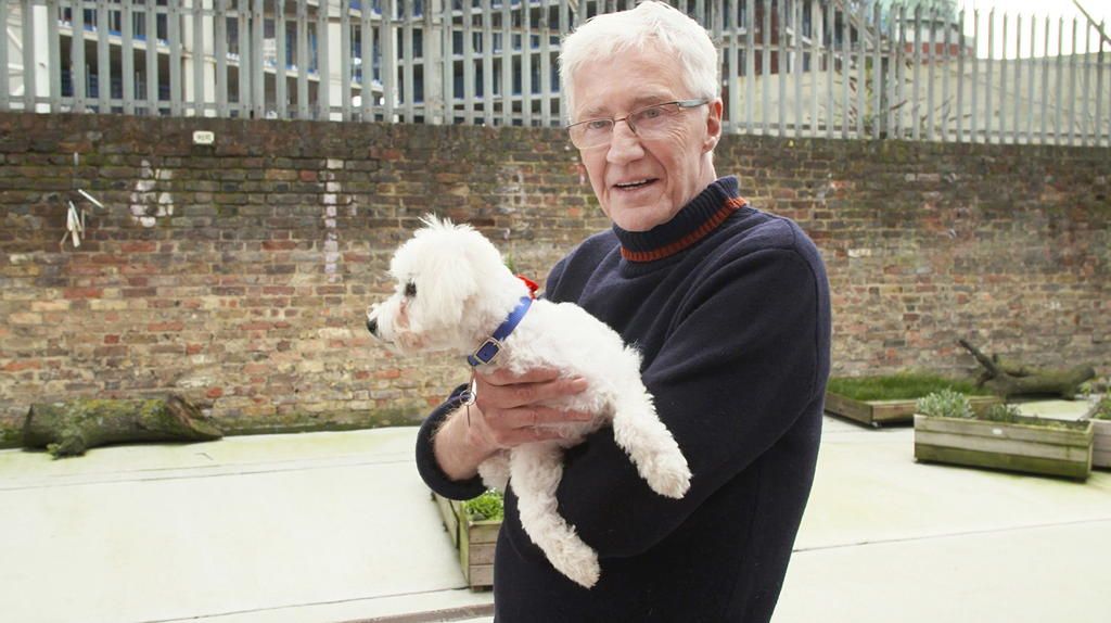 TV tonight Paul O&#039;Grady: For the Love of Dogs